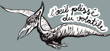 Photo de L'oeil plissé du volatile N°9 - Mai 1